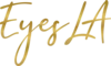 EYESLA logo